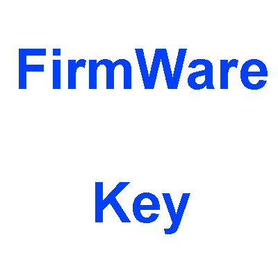 100 LLAVE DE FIRMWARE para WIC - Utilidad para chipless firmware