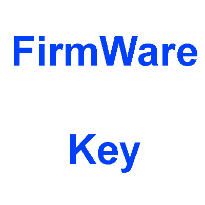 <b>100 FIRMWARE KEYs</b> for the WIC Reset Uility